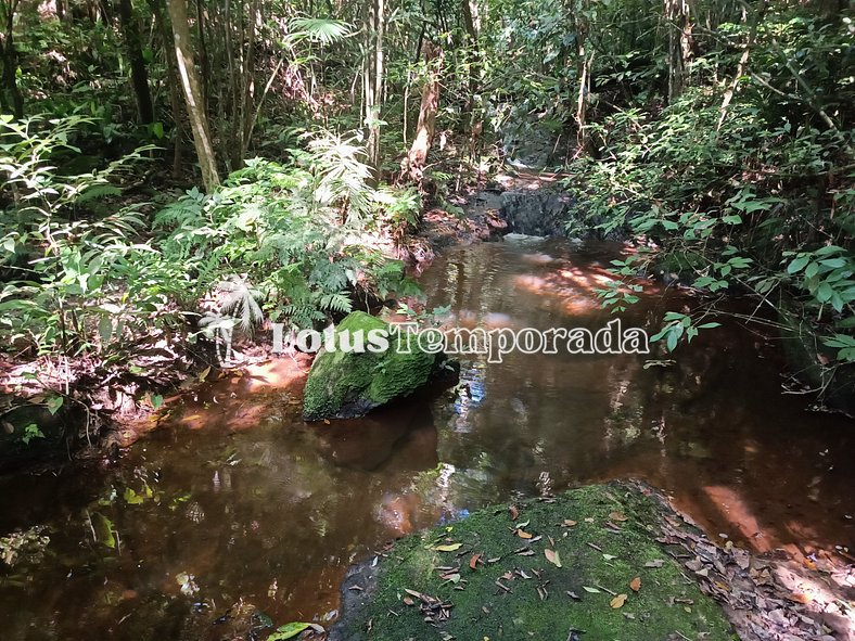 Sítio em meio a natureza com piscina natural LT0045